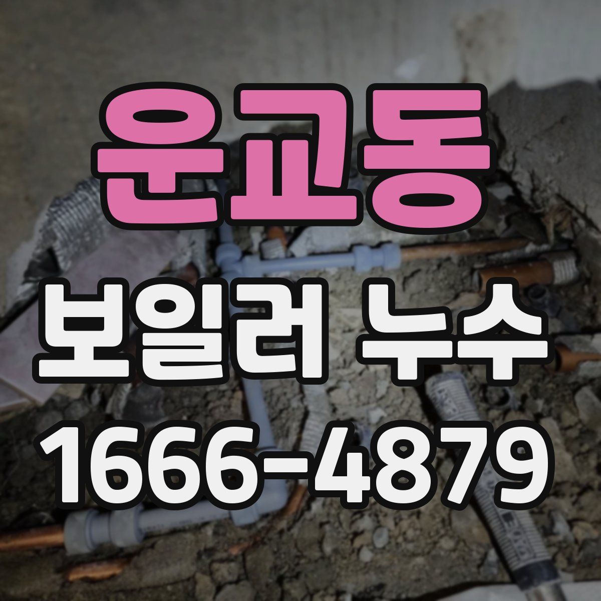 운교동 보일러 누수