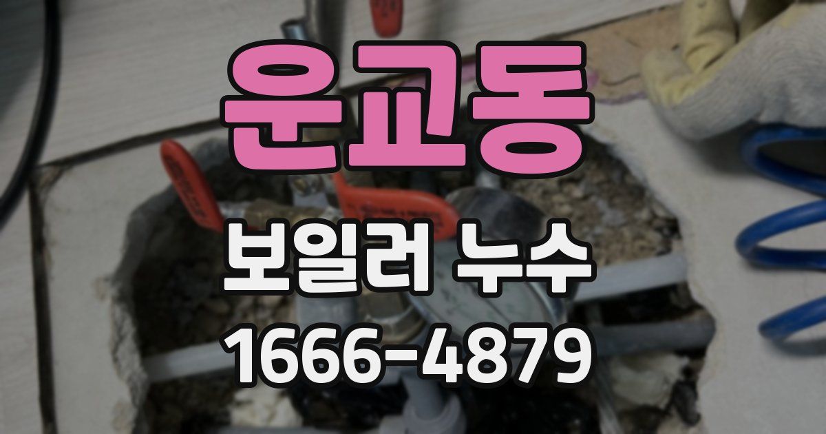 운교동 보일러 누수