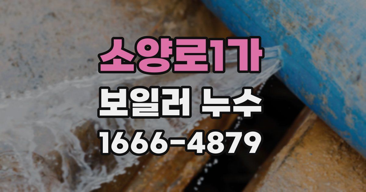 소양로1가 보일러 누수