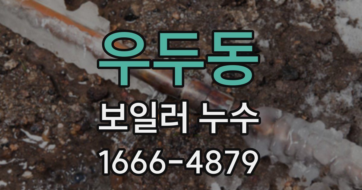 우두동 보일러 누수