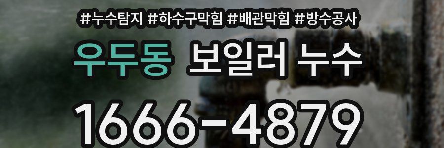 우두동 보일러 누수