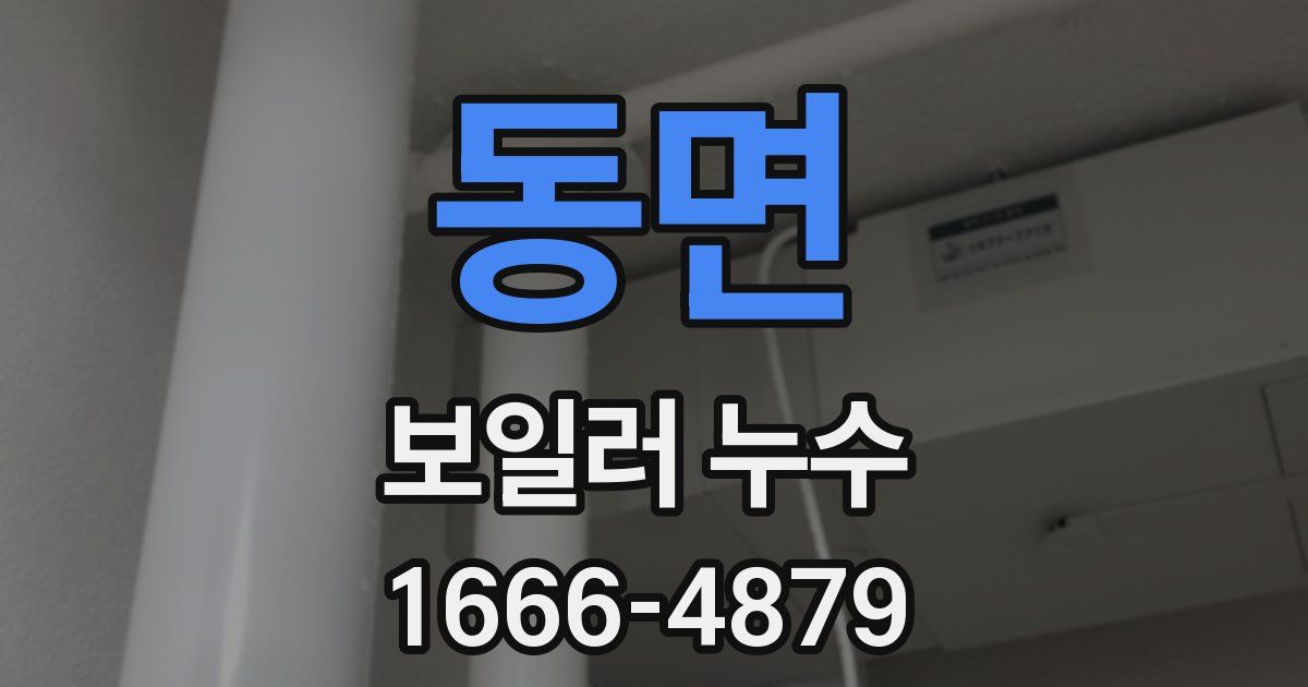 동면 보일러 누수