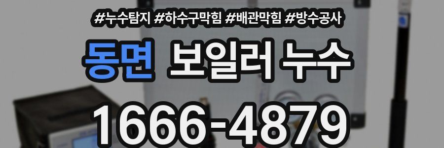 동면 보일러 누수