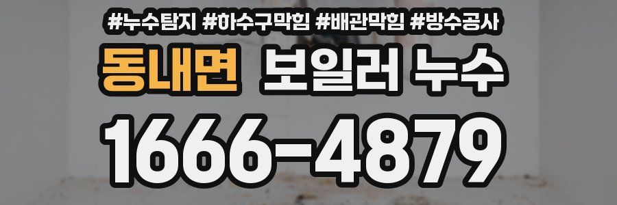 동내면 보일러 누수