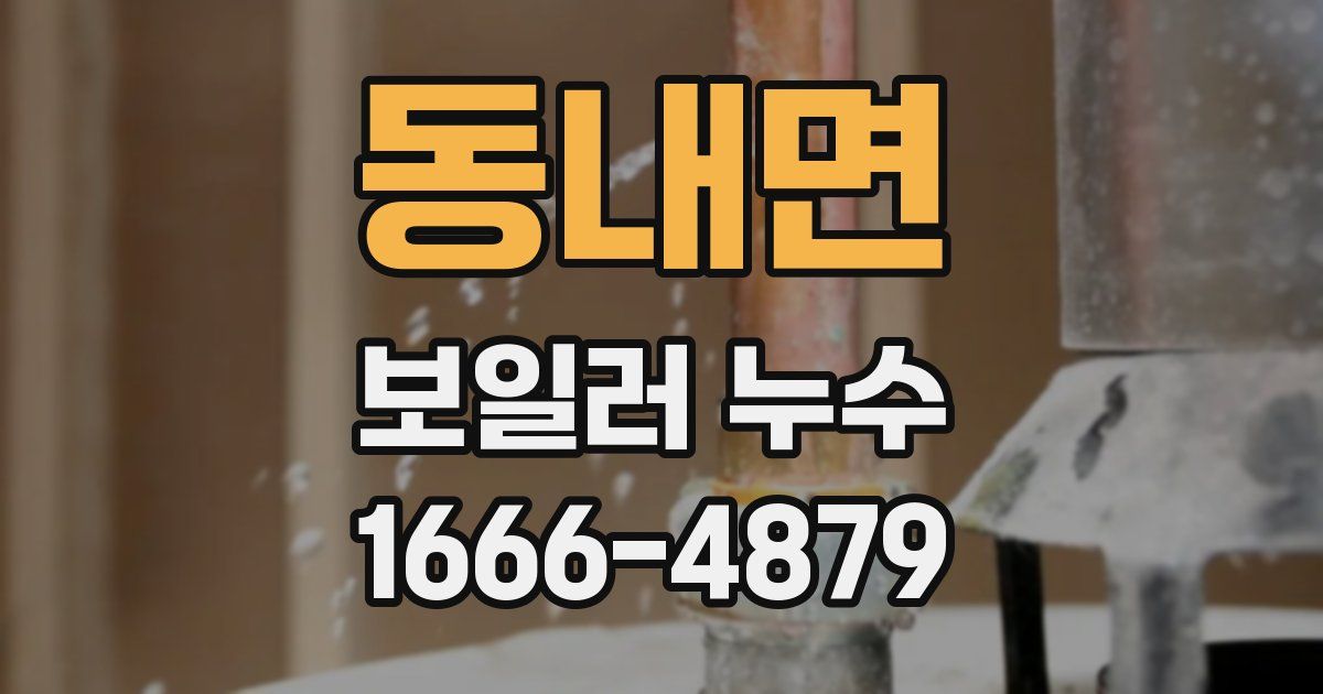 동내면 보일러 누수