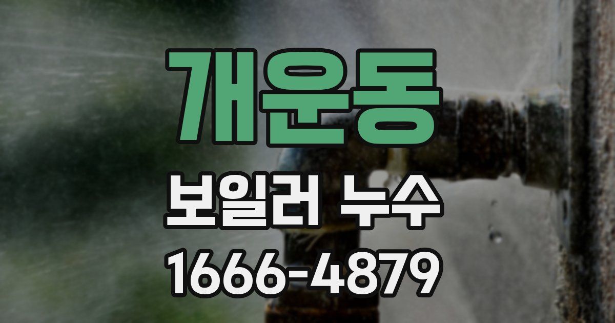 개운동 보일러 누수