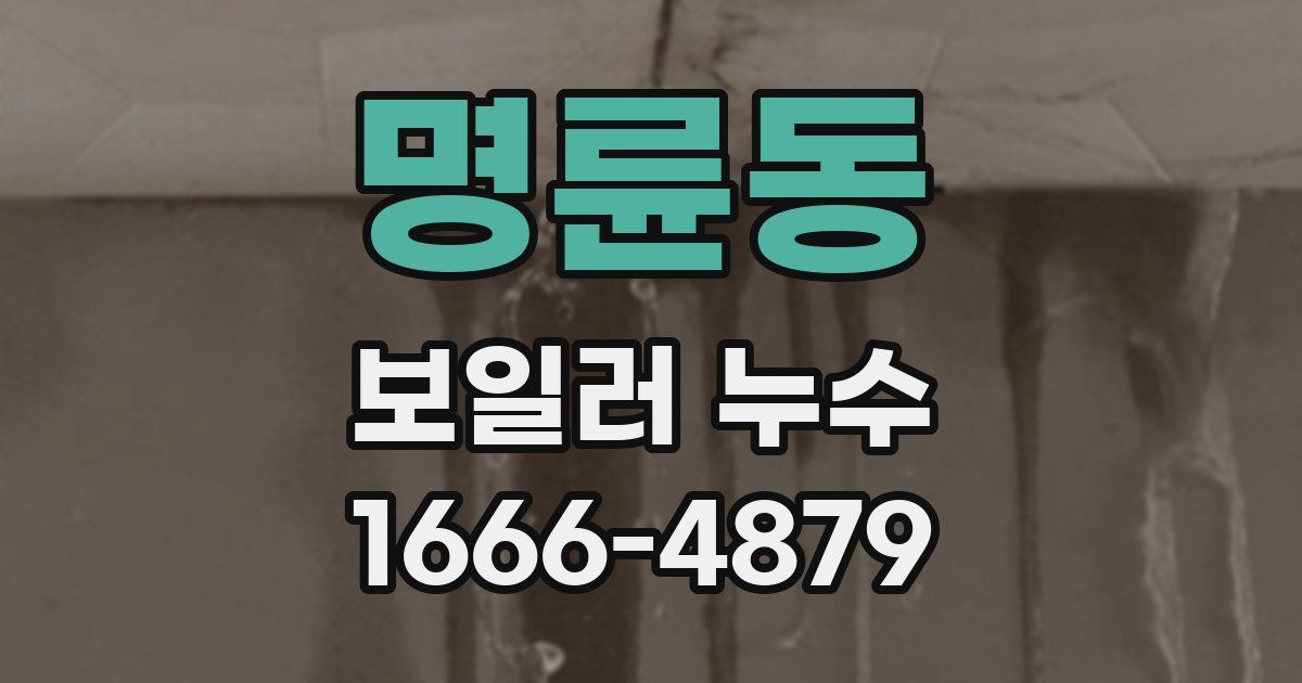 명륜동 보일러 누수