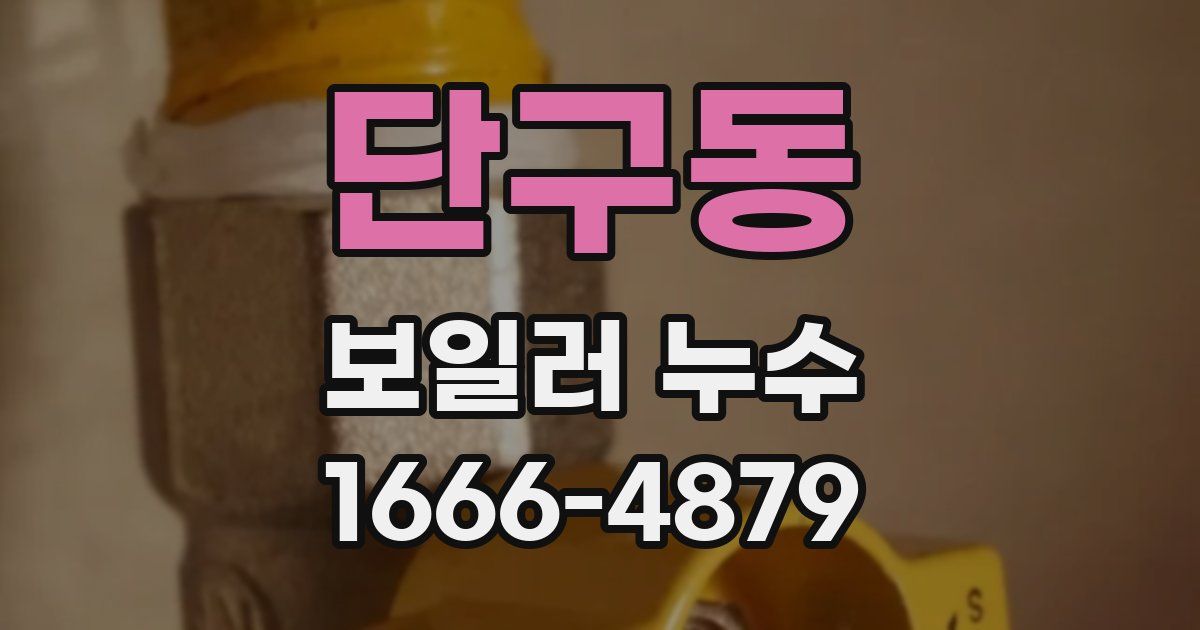 단구동 보일러 누수