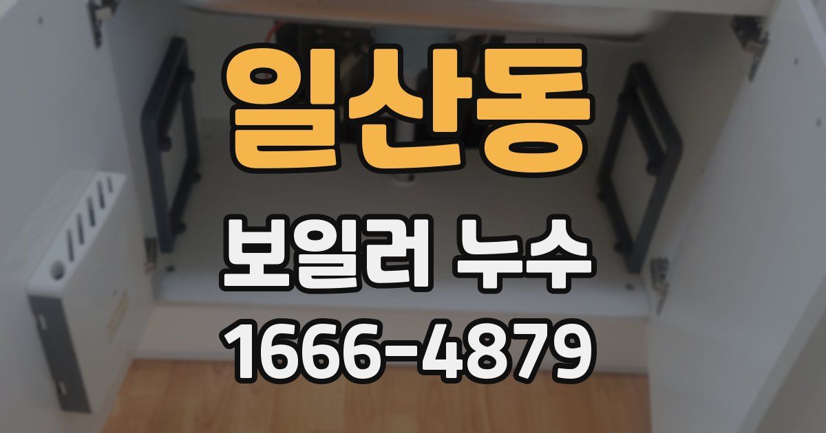 일산동 보일러 누수