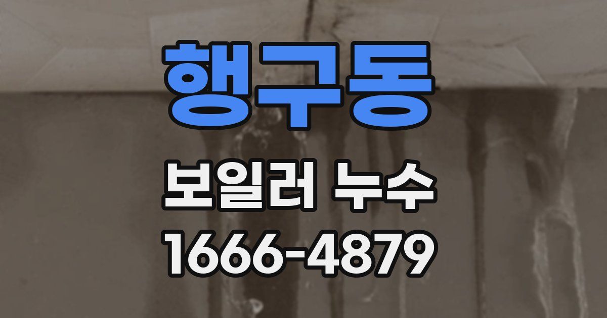 행구동 보일러 누수