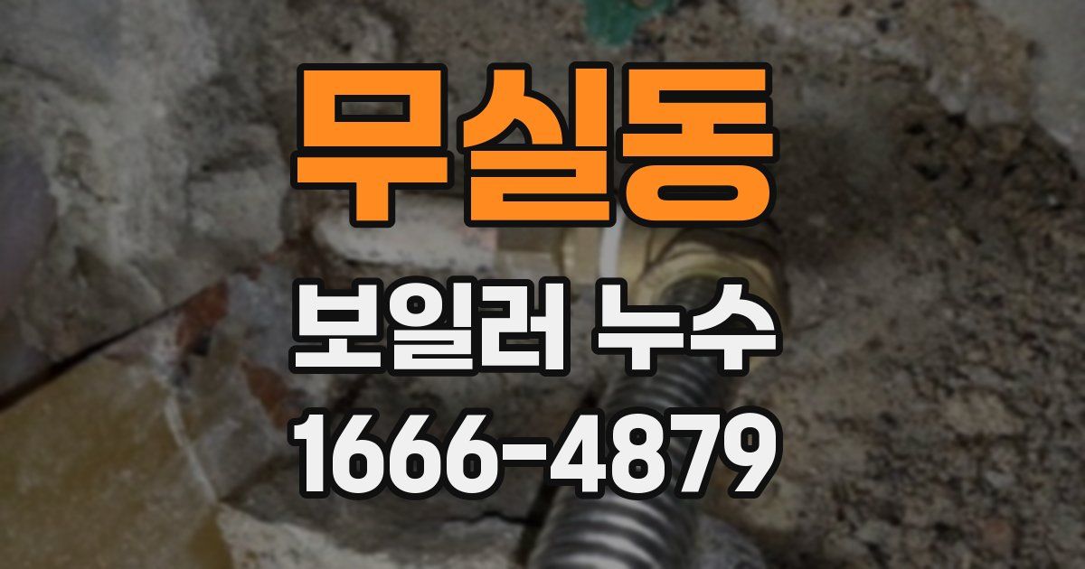 무실동 보일러 누수