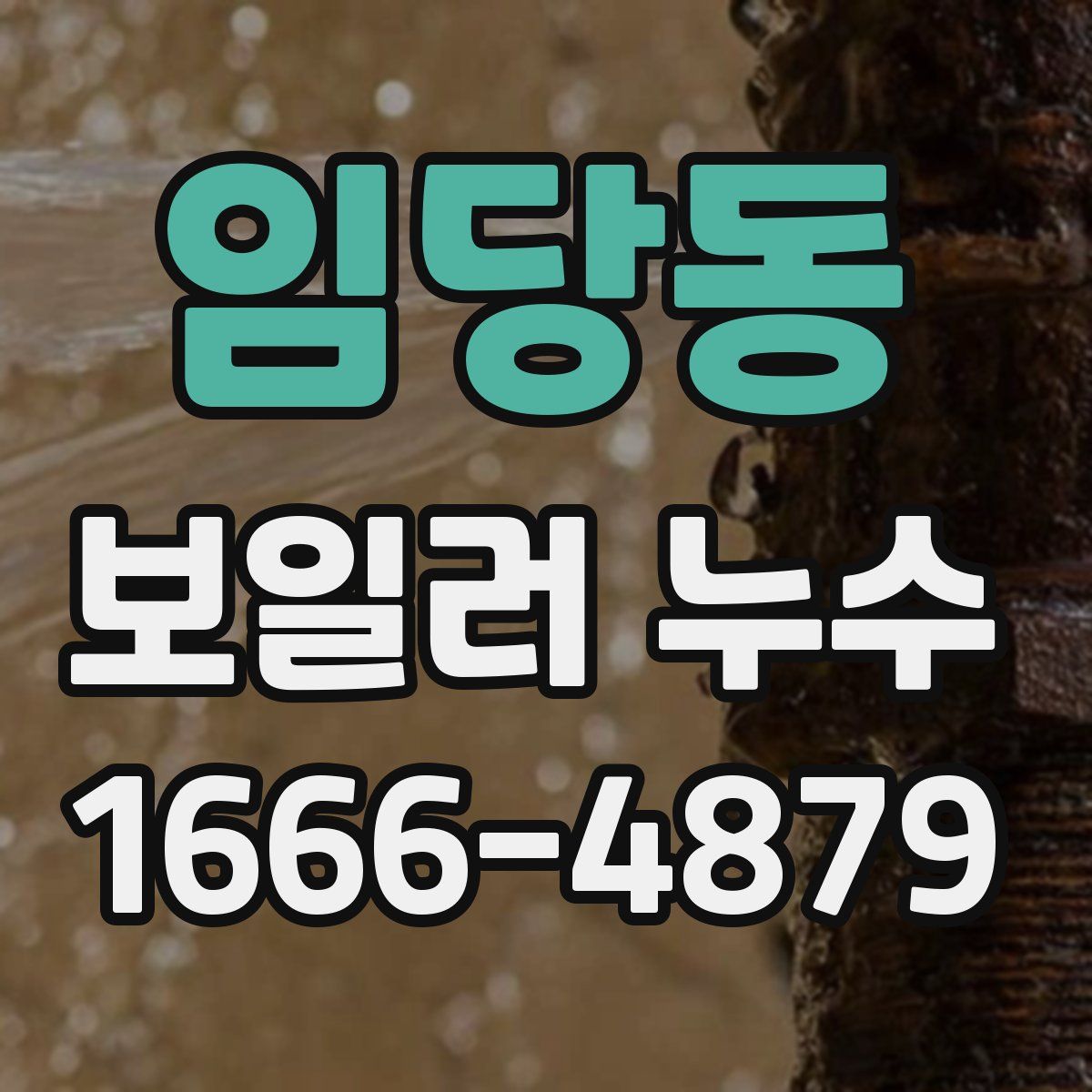 임당동 보일러 누수