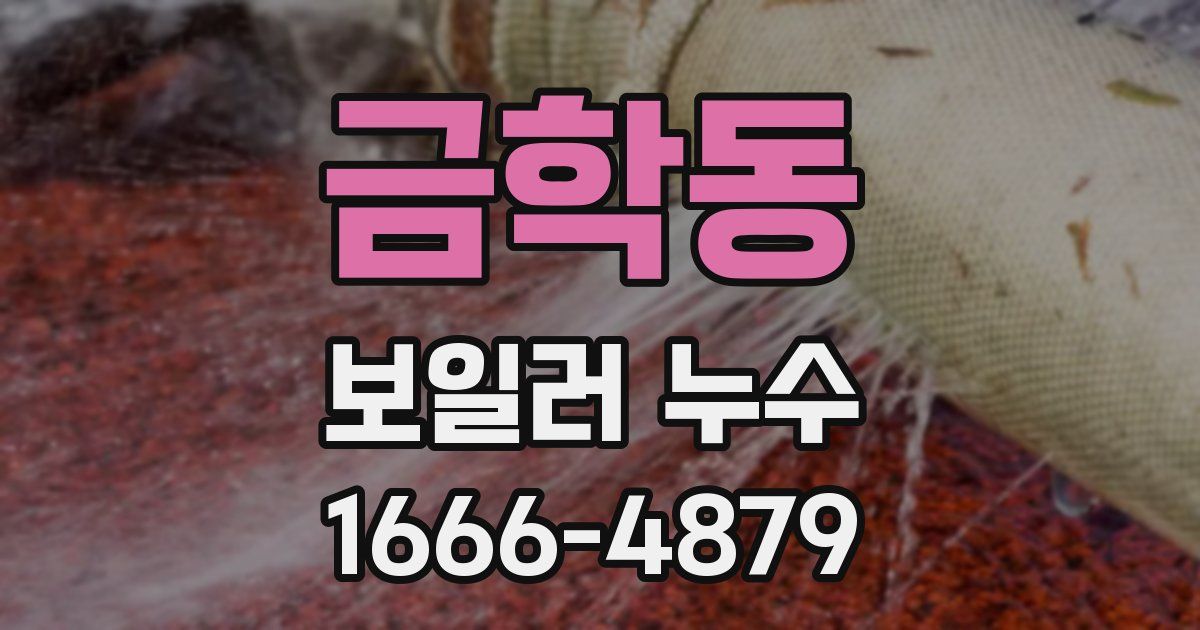 금학동 보일러 누수