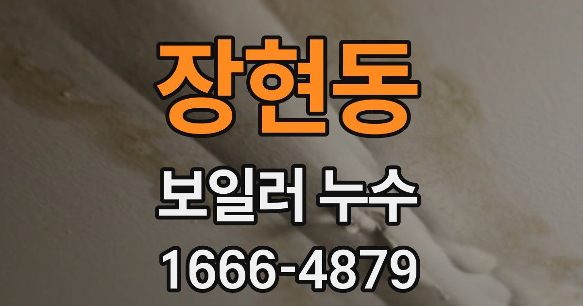 장현동 보일러 누수