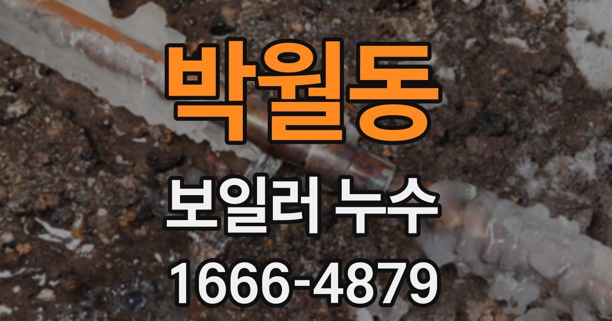 박월동 보일러 누수