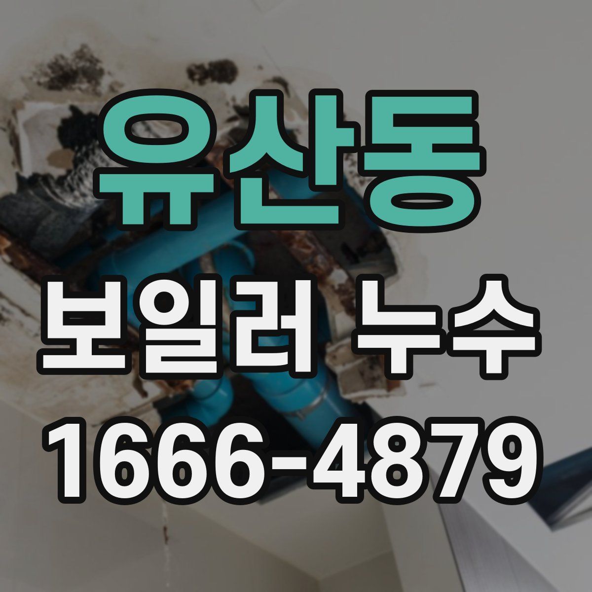 유산동 보일러 누수