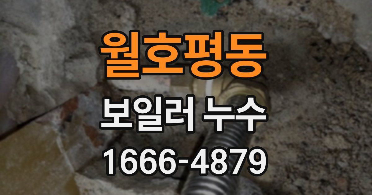 월호평동 보일러 누수