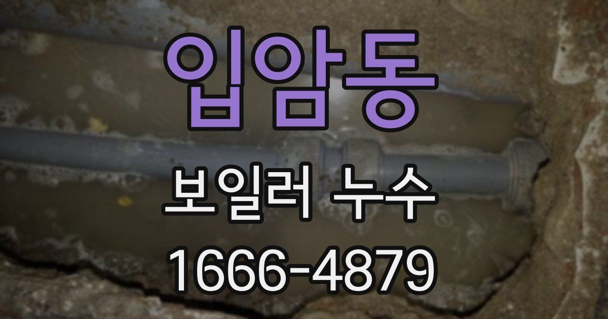 입암동 보일러 누수