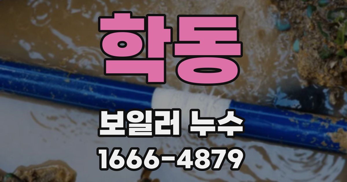 학동 보일러 누수