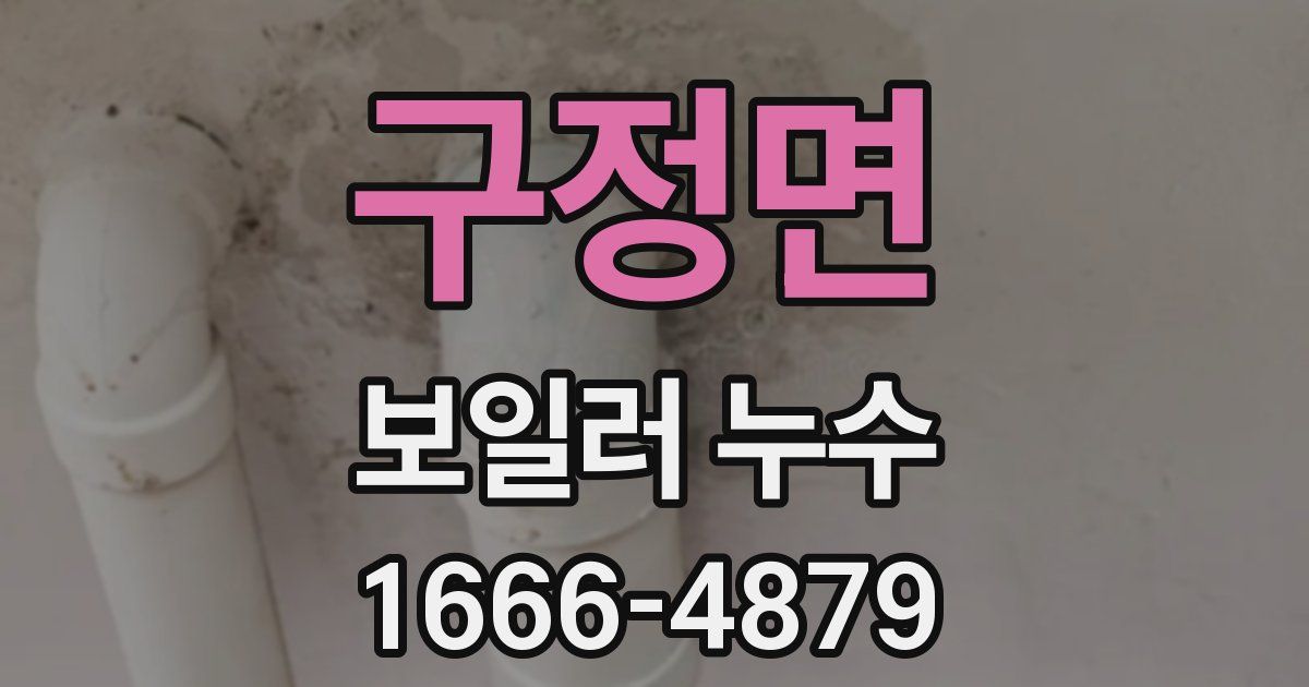 구정면 보일러 누수