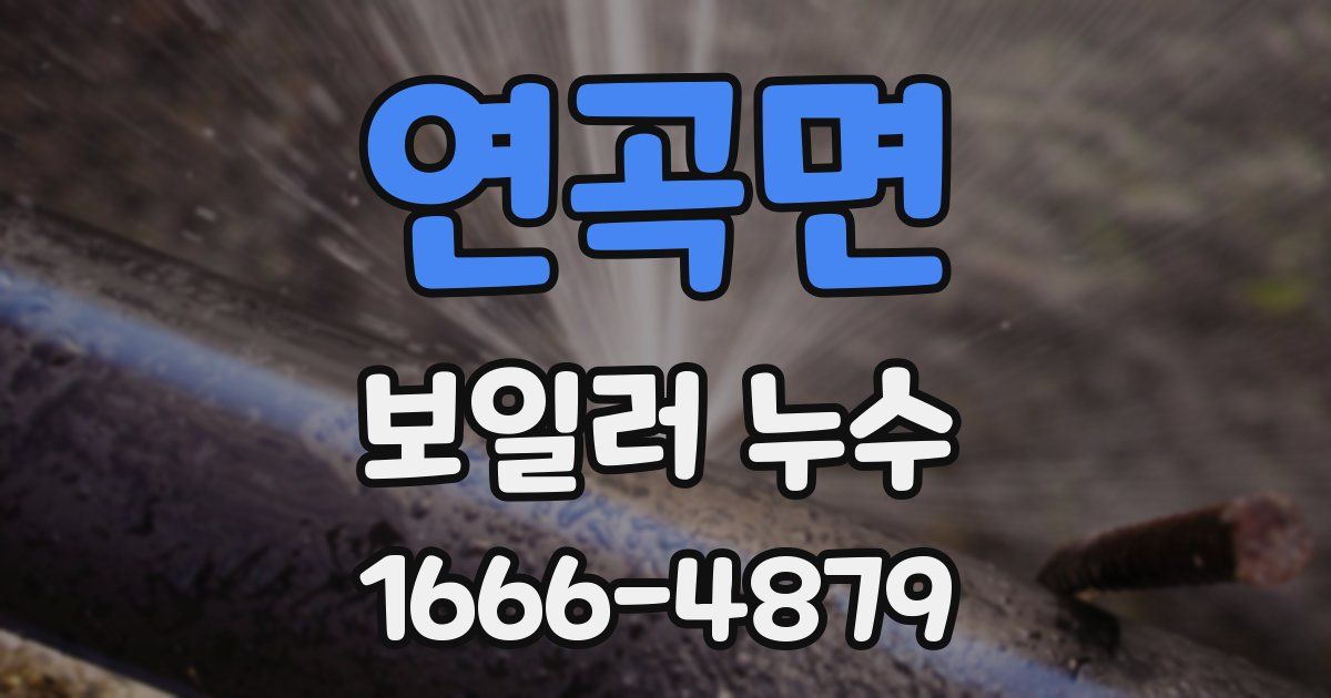 연곡면 보일러 누수
