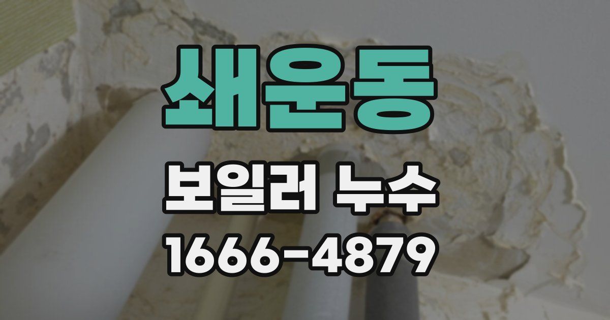 쇄운동 보일러 누수