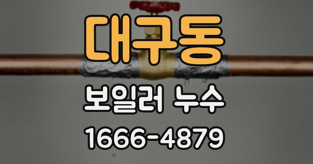대구동 보일러 누수