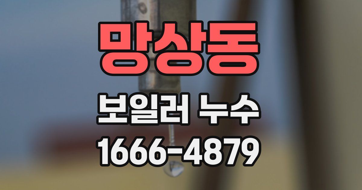 망상동 보일러 누수