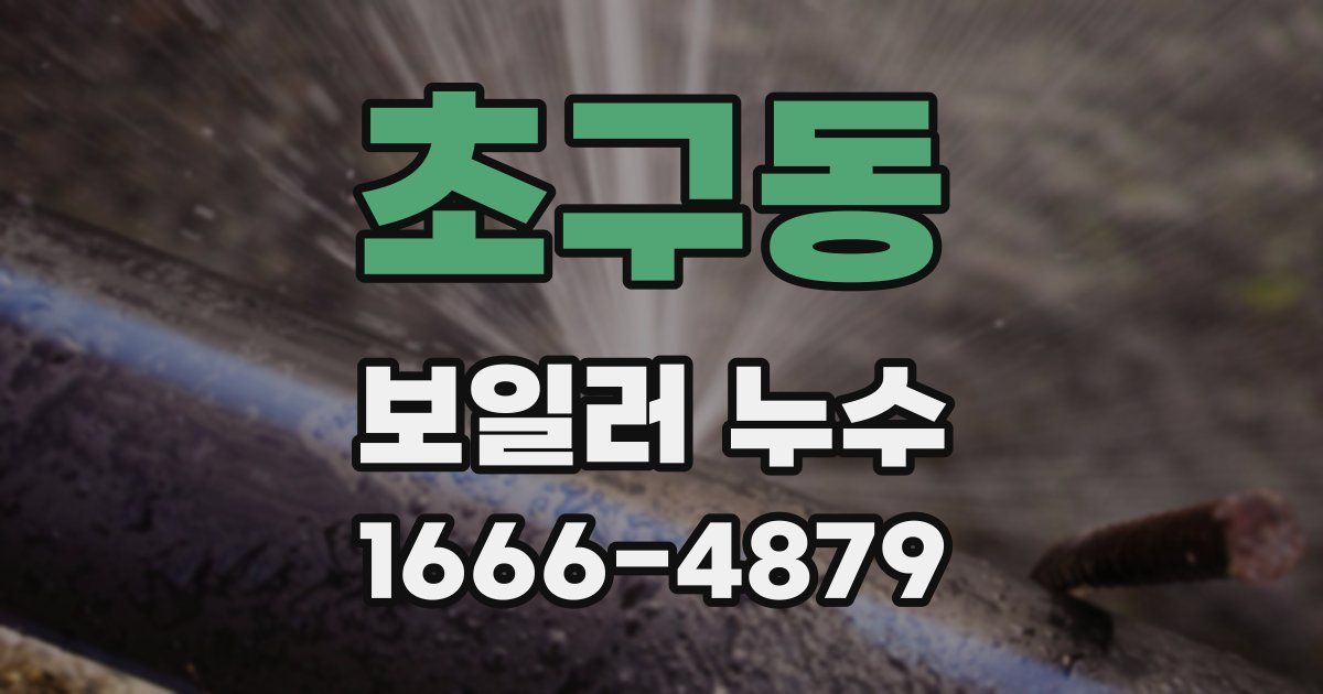초구동 보일러 누수