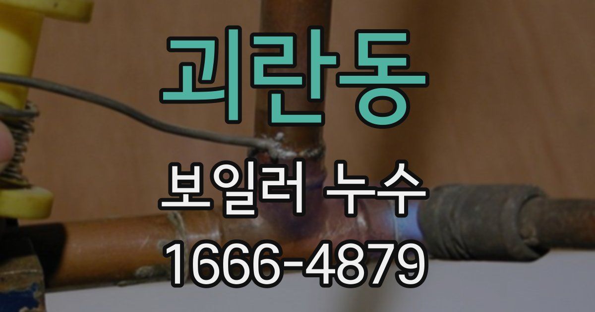 괴란동 보일러 누수