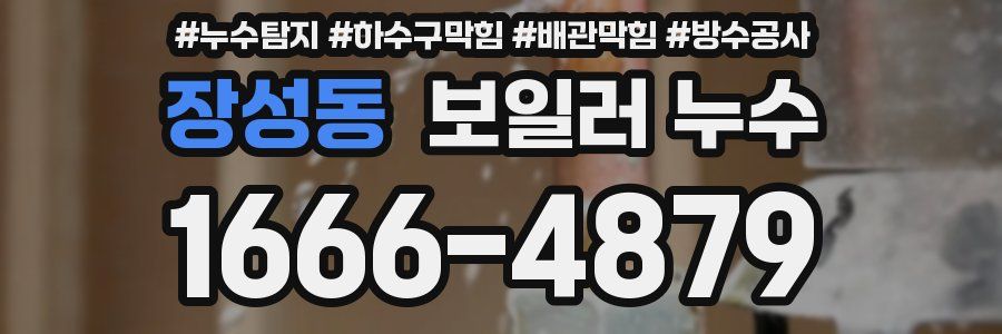 장성동 보일러 누수