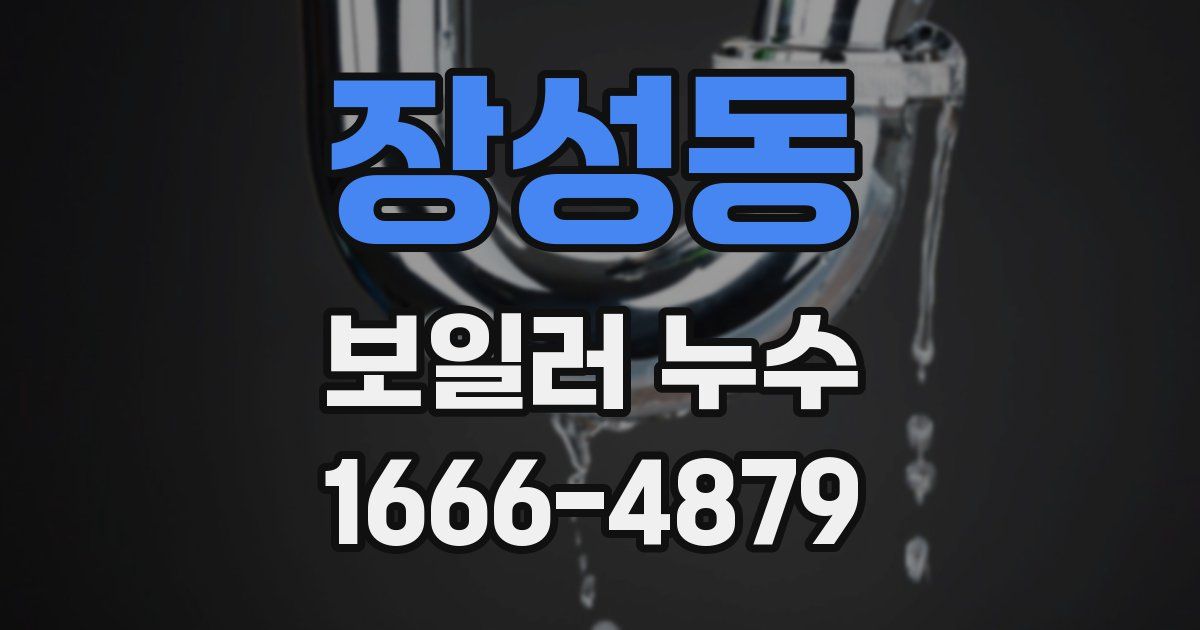 장성동 보일러 누수