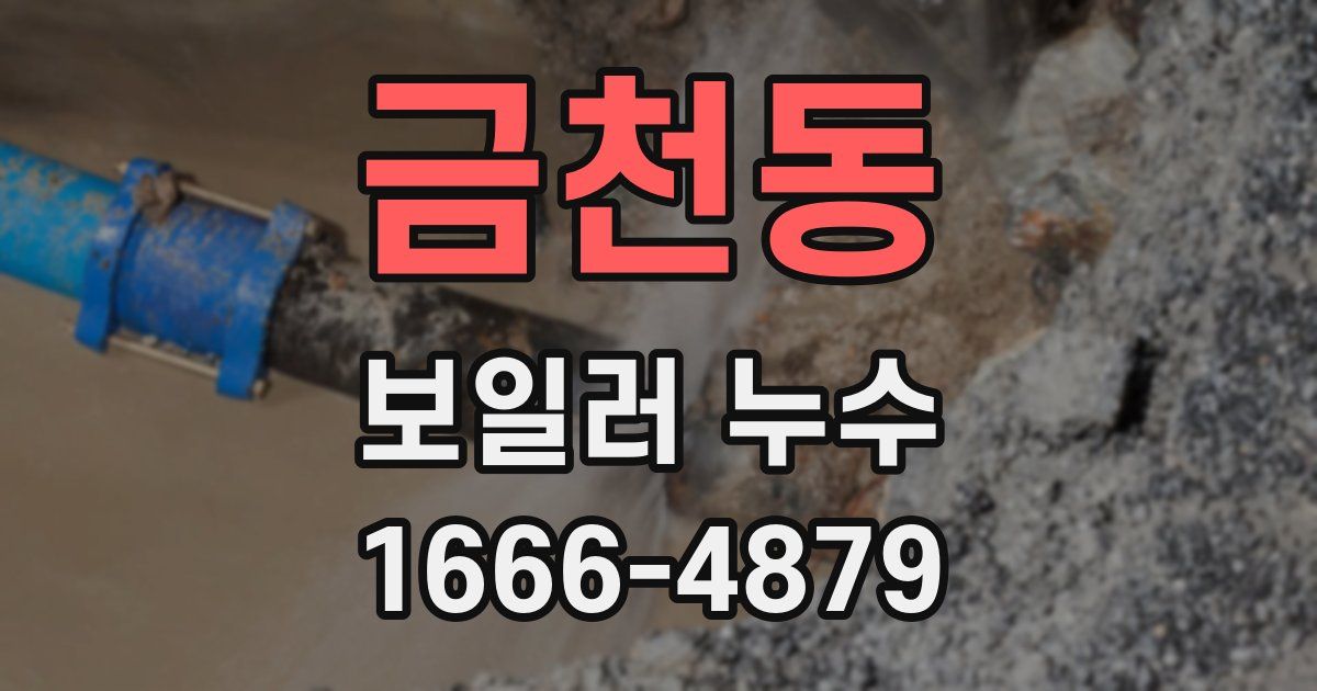 금천동 보일러 누수