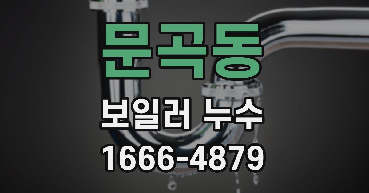 문곡동 보일러 누수