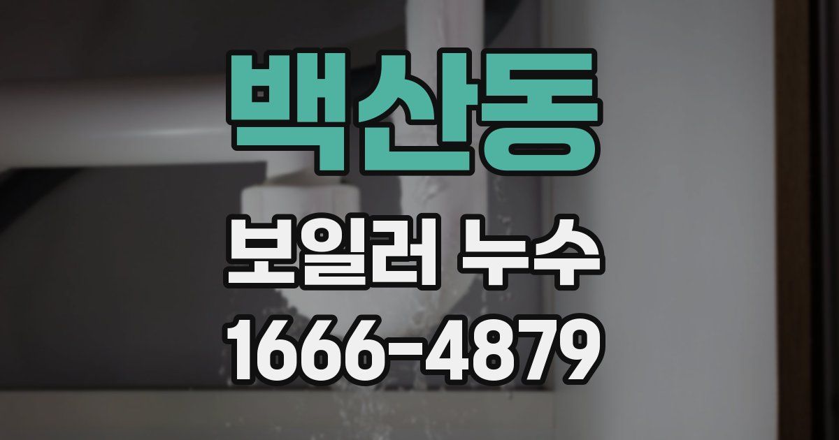 백산동 보일러 누수