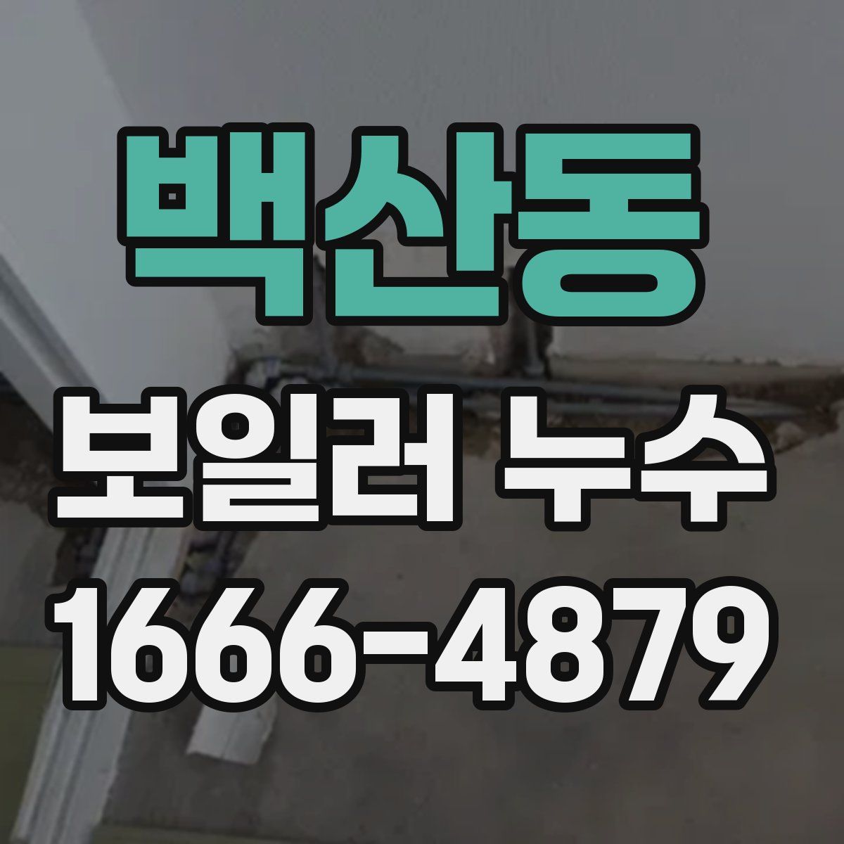 백산동 보일러 누수