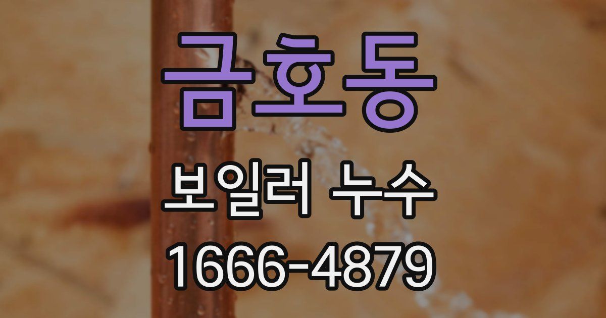 금호동 보일러 누수