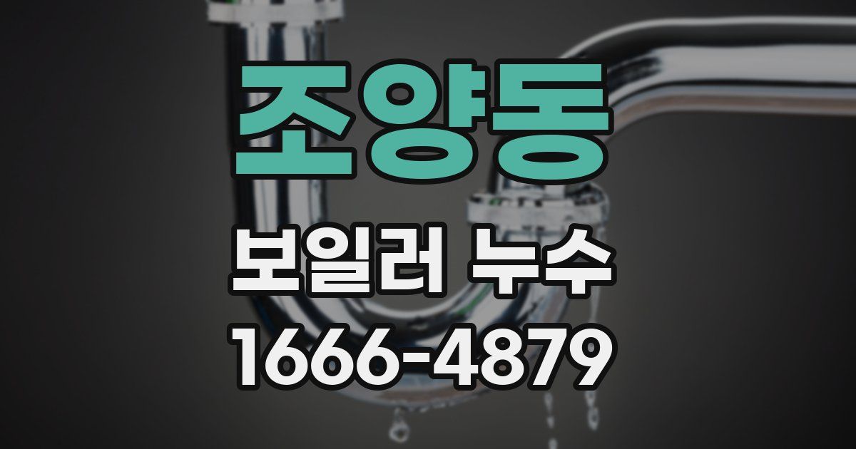 조양동 보일러 누수