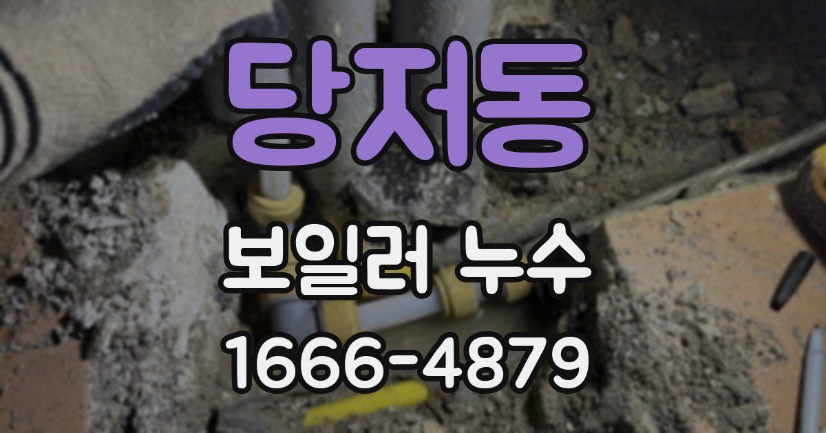 당저동 보일러 누수