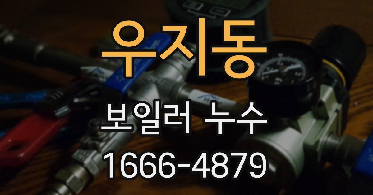 우지동 보일러 누수