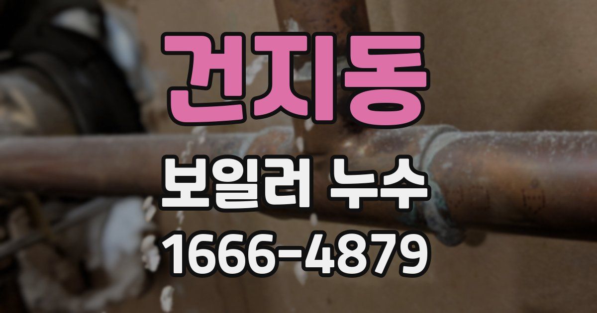 건지동 보일러 누수