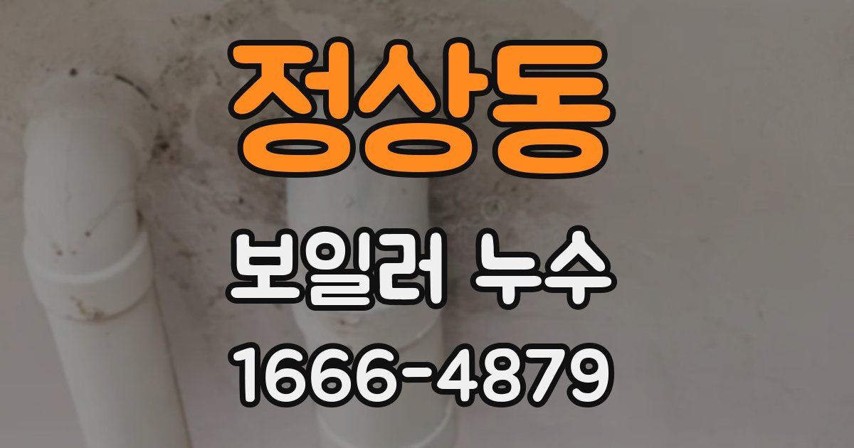 정상동 보일러 누수