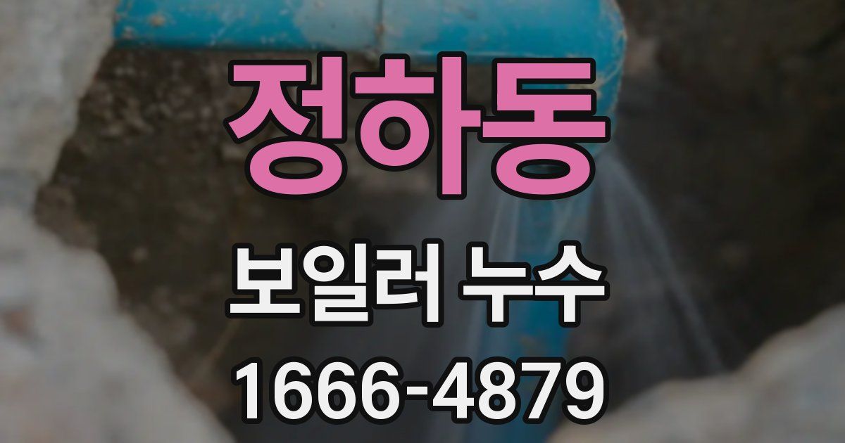 정하동 보일러 누수
