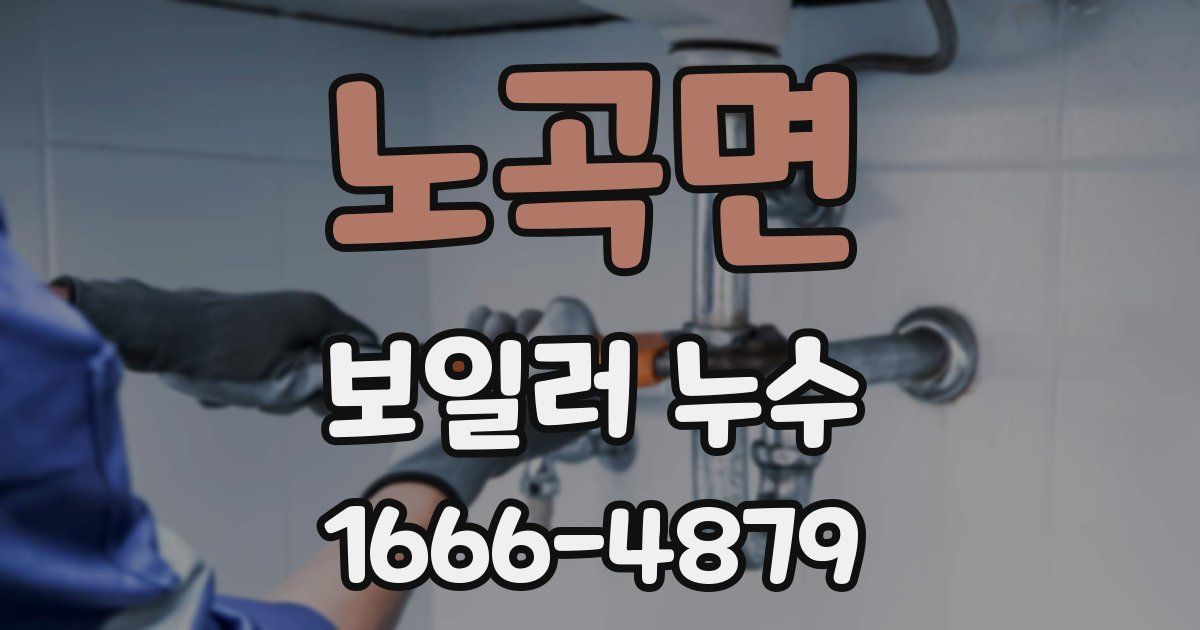 노곡면 보일러 누수