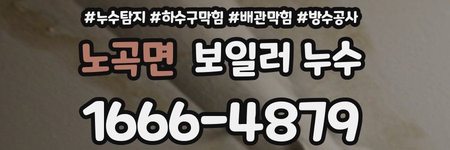 노곡면 보일러 누수