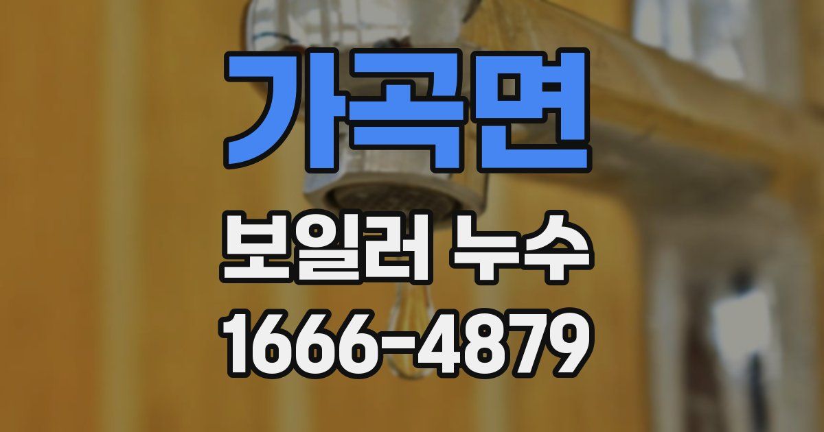가곡면 보일러 누수