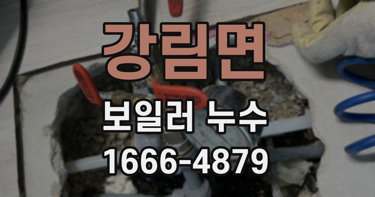 강림면 보일러 누수