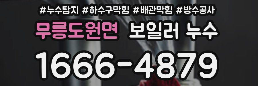 무릉도원면 보일러 누수