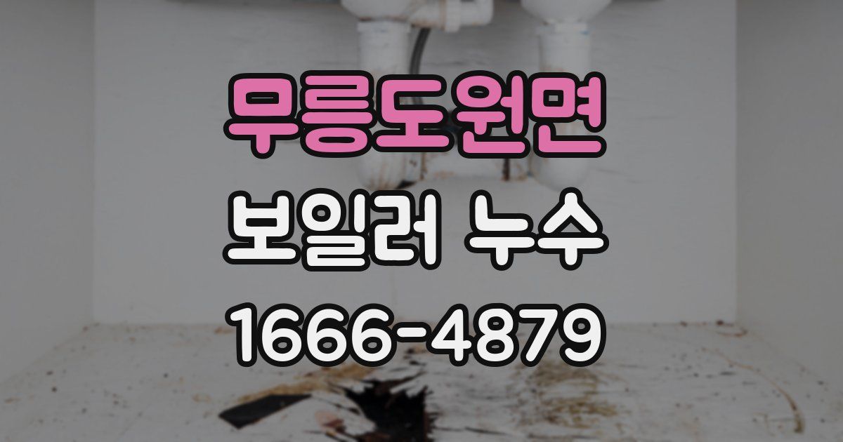 무릉도원면 보일러 누수