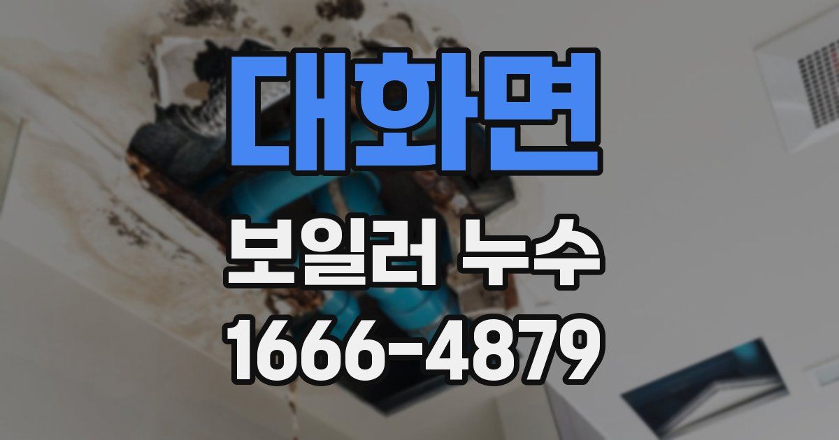 대화면 보일러 누수
